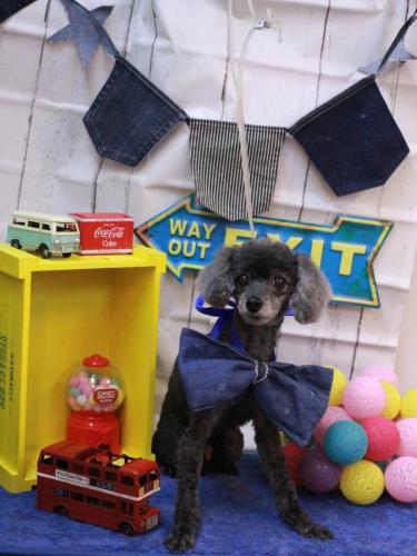 20230408もっぷくん